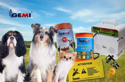 Köpek Çiti Rehberi ve İncelemesi: Gemi E/220 Elektrikli Çit Enerjilendirici
